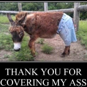 Thankj you for covering my ass